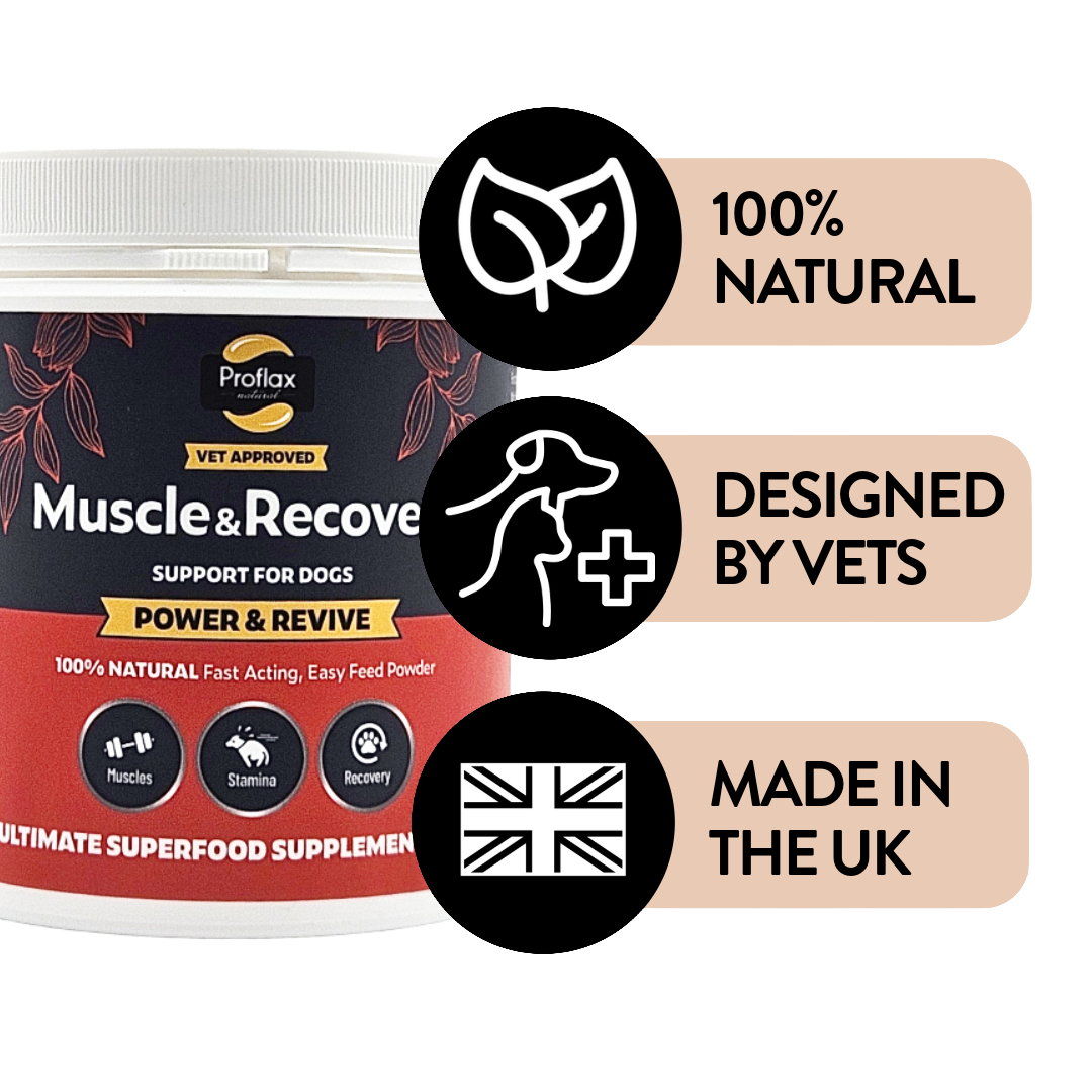 Proflax Power Revive muskelpulver til hund 100 g restitusjon