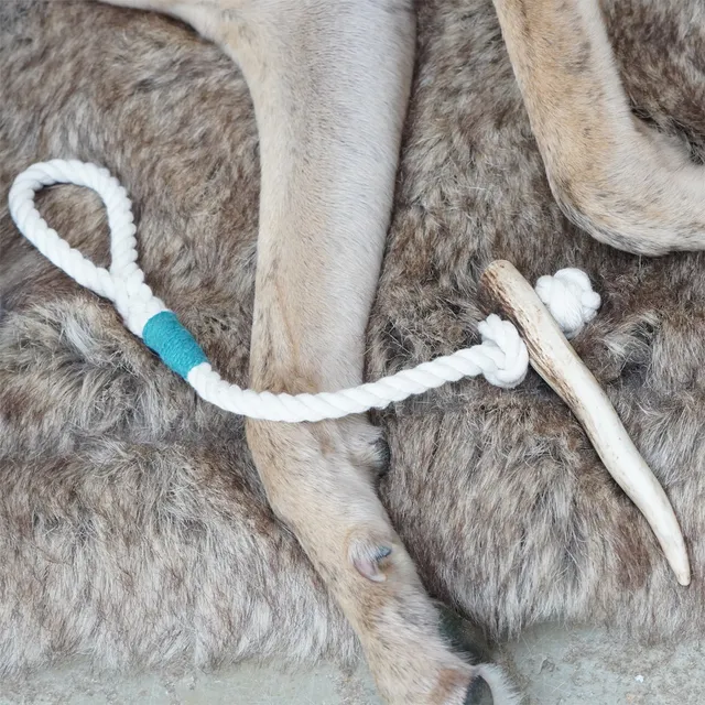 The Innocent Hound Puppy Antler Rope hundeleke tau/gevir