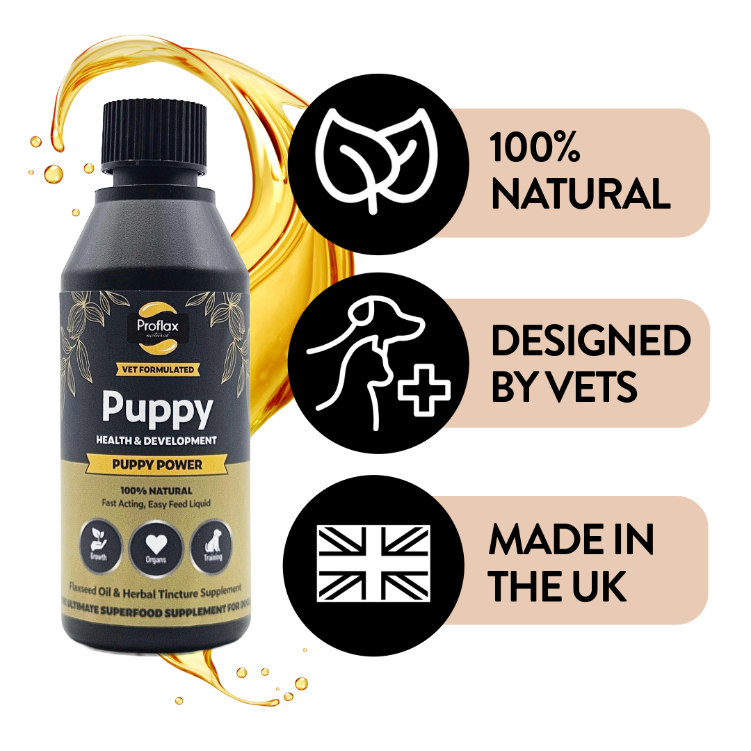 Proflax Puppy Power olje valpetilskudd 100 ml fordøyelse