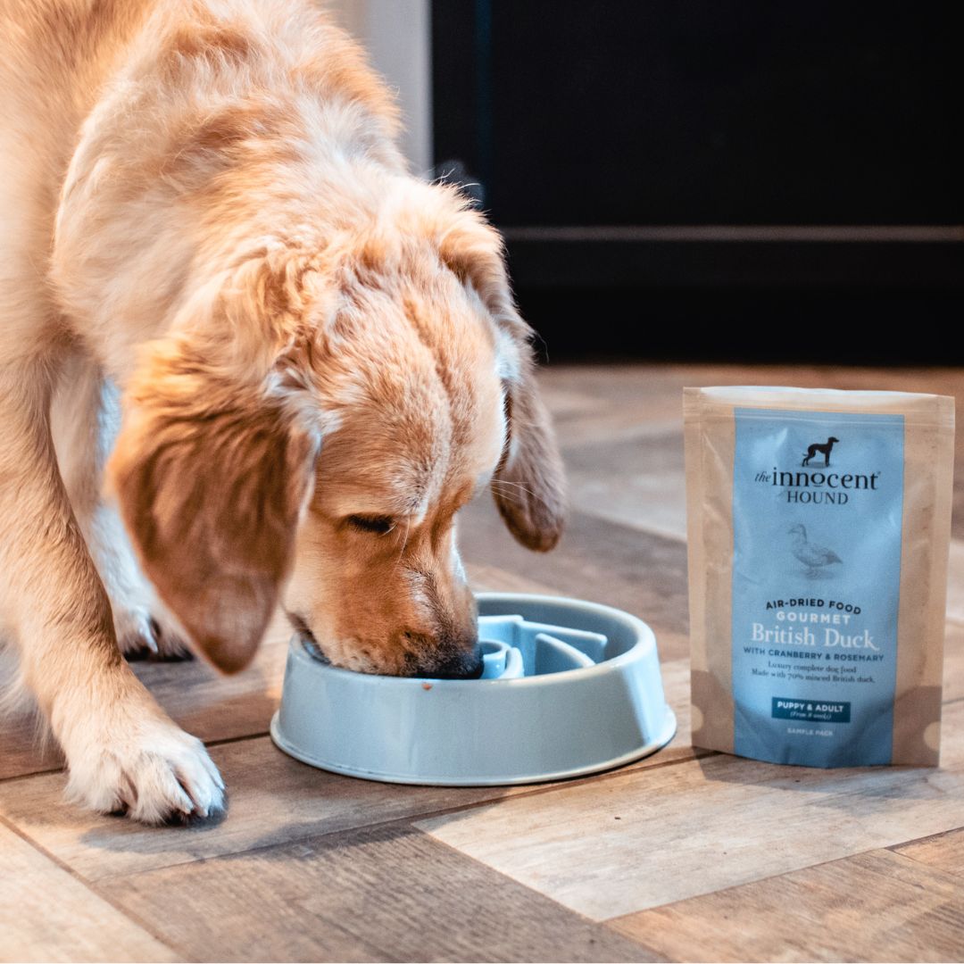 The Innocent Hound Gourmet Duck hundemat 1,5 kg and