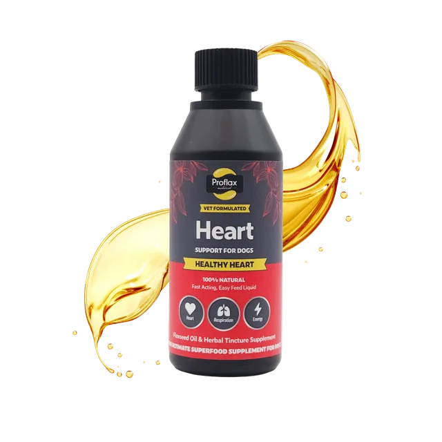 Proflax Healthy Heart olje hundetilskudd 100 ml hjerte