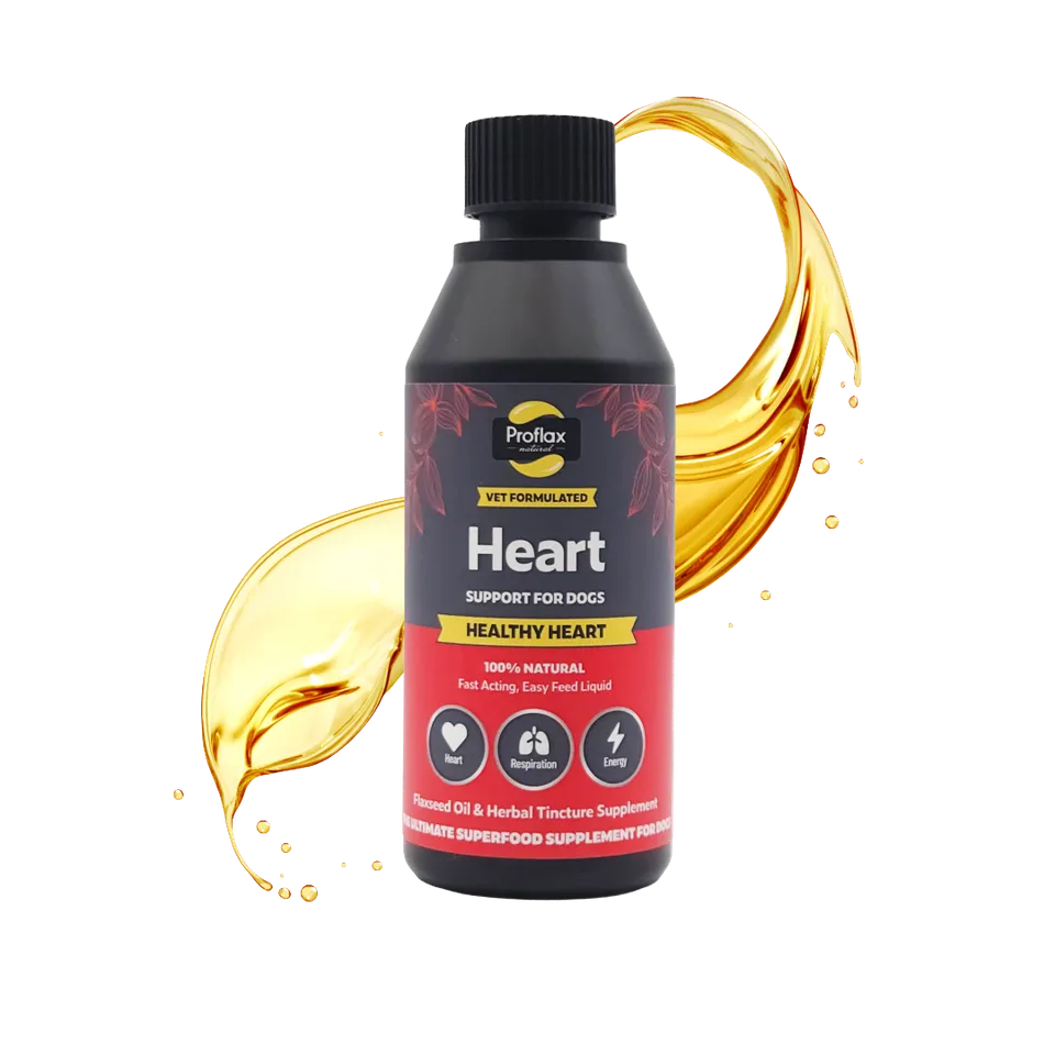 Proflax Healthy Heart olje hundetilskudd 100 ml hjerte