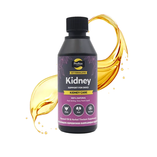 Proflax Kidney Care olje 100 ml nyre urinvei