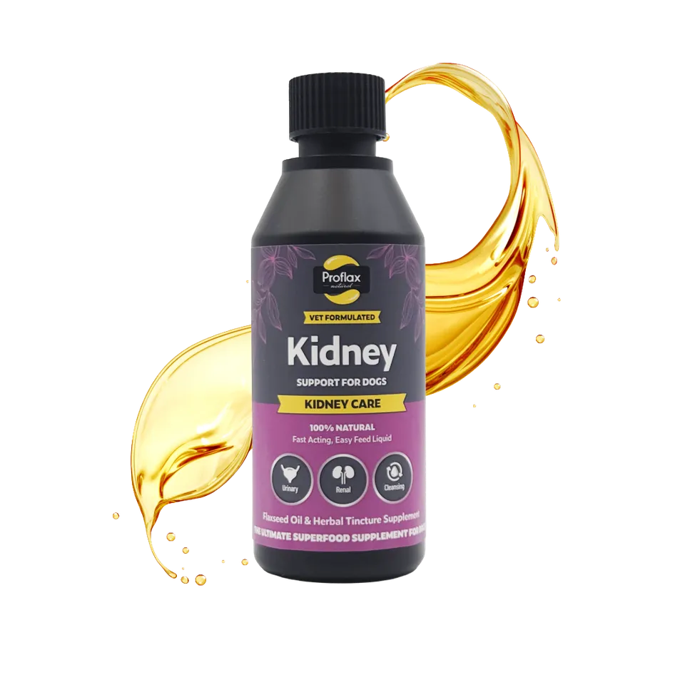 Proflax Kidney Care olje 100 ml nyre urinvei