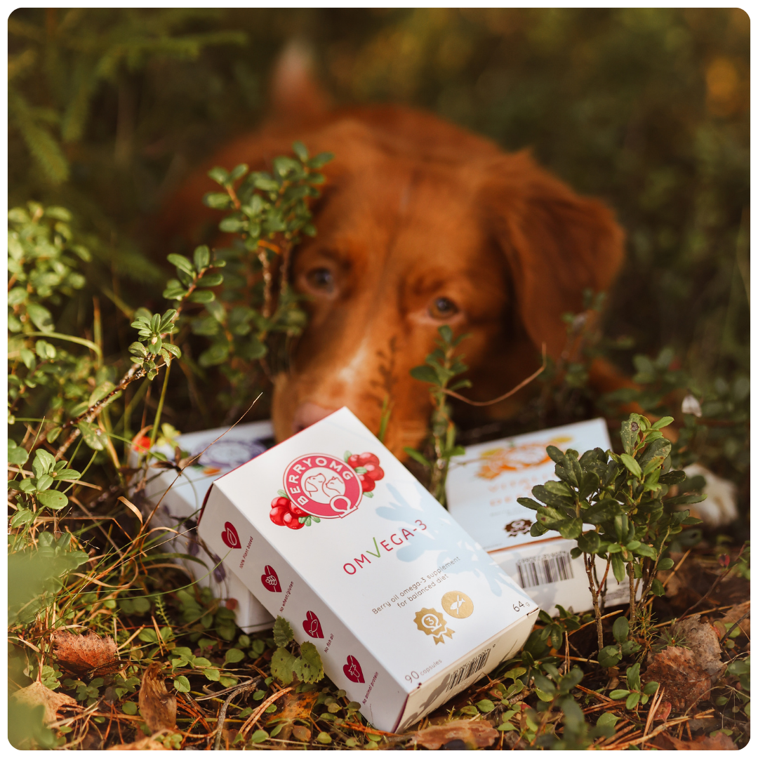 BERRYOMG OMvEGA-3 omega-3 kapsler 90 stk fiskeoljefri