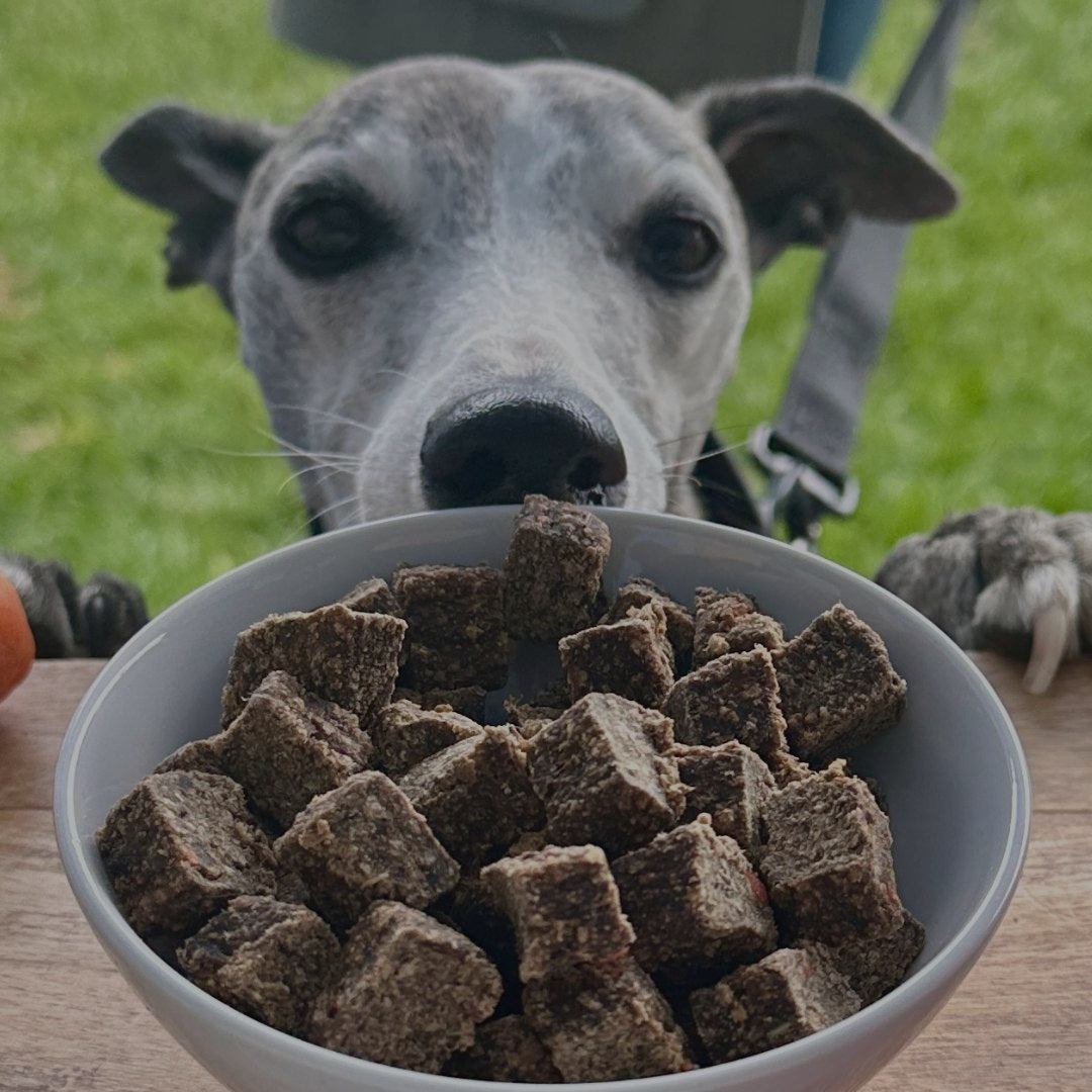 The Innocent Hound Lamb Casserole hundemat 1,5kg kornfri
