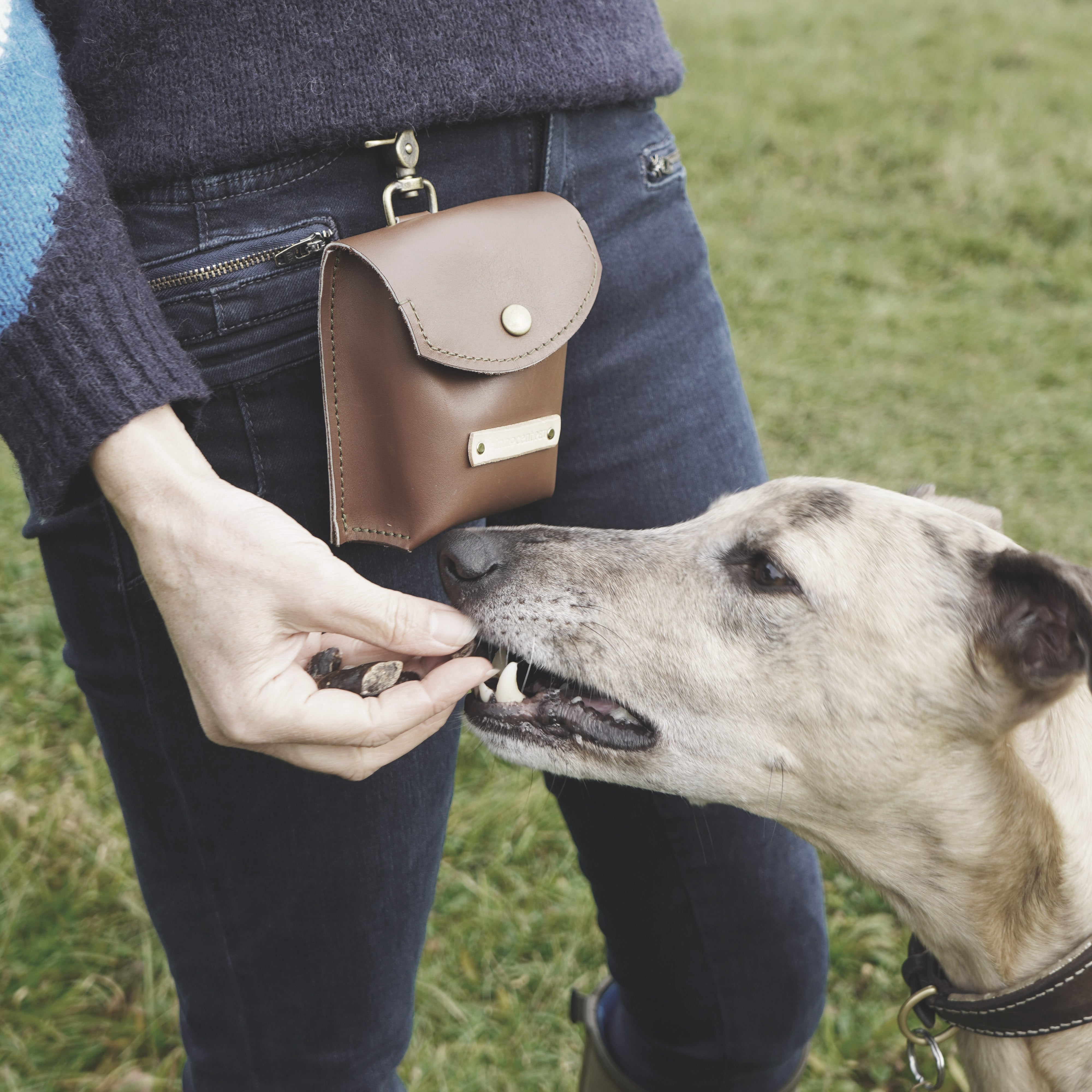 The Innocent Hound Human & Hound gavesett skinn og fløyte