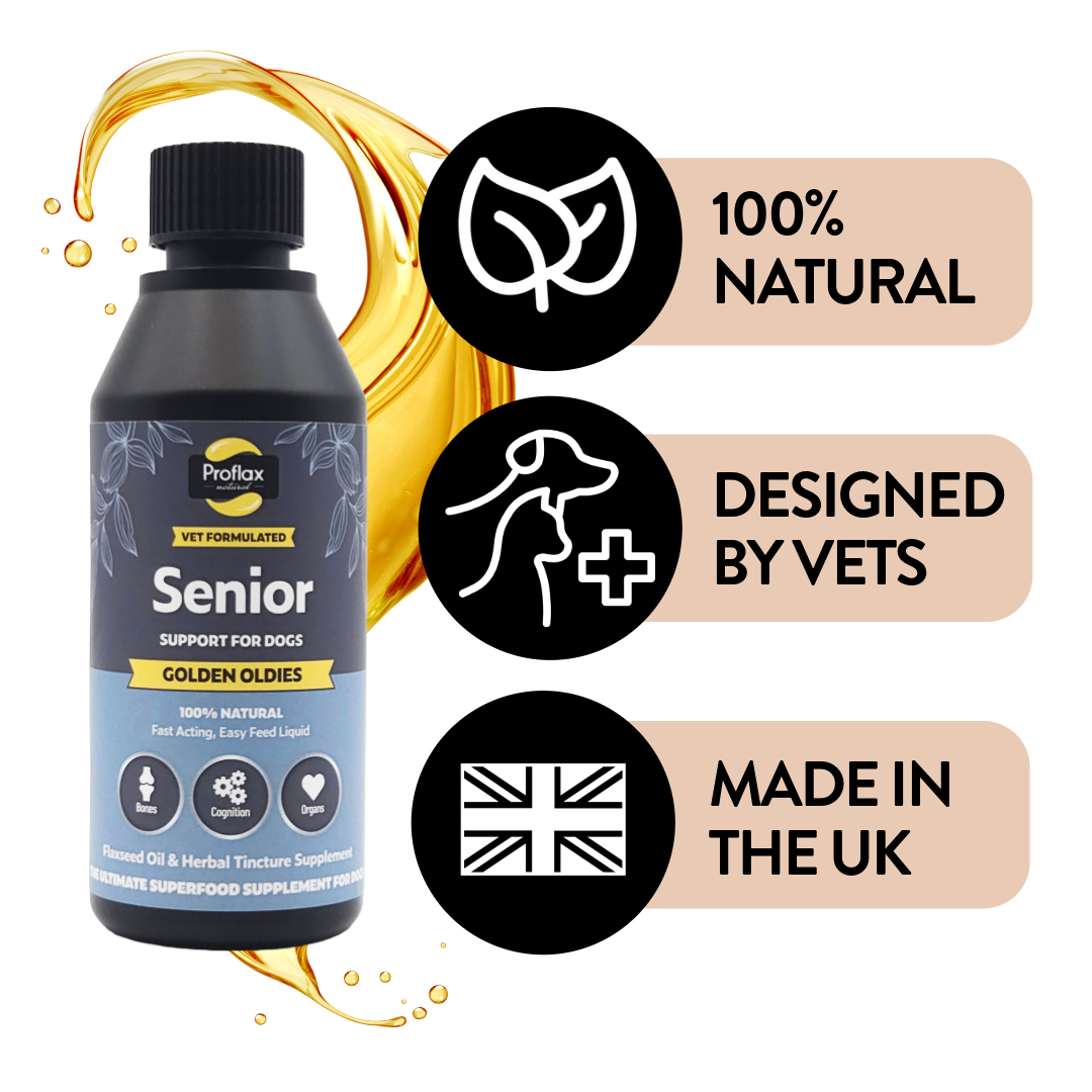 Proflax Golden Oldies olje 100 ml seniorhund