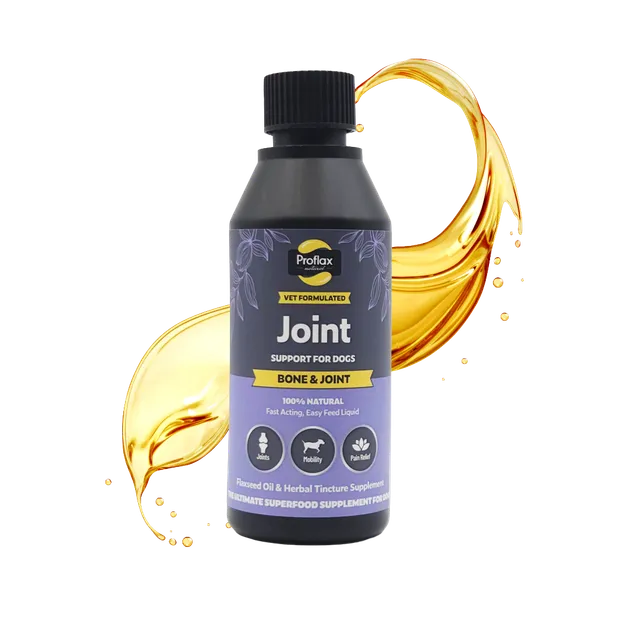 Proflax Bone & Joint olje hund 250 ml ledd