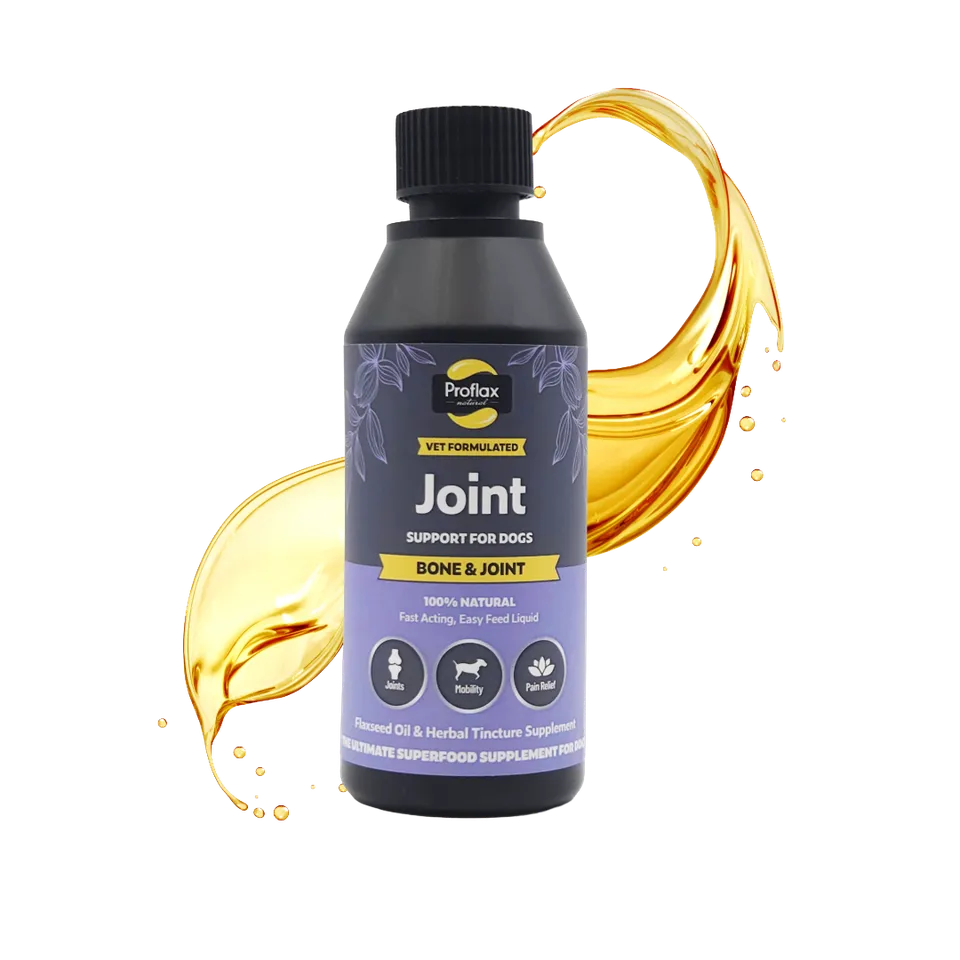 Proflax Bone & Joint olje hund 250 ml ledd