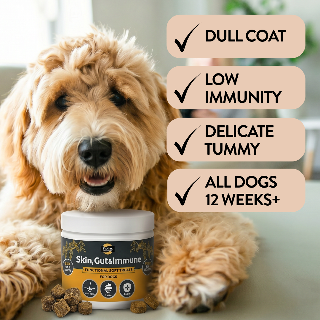 Proflax Skin Gut Immune tyggebiter til hund 120 g hud