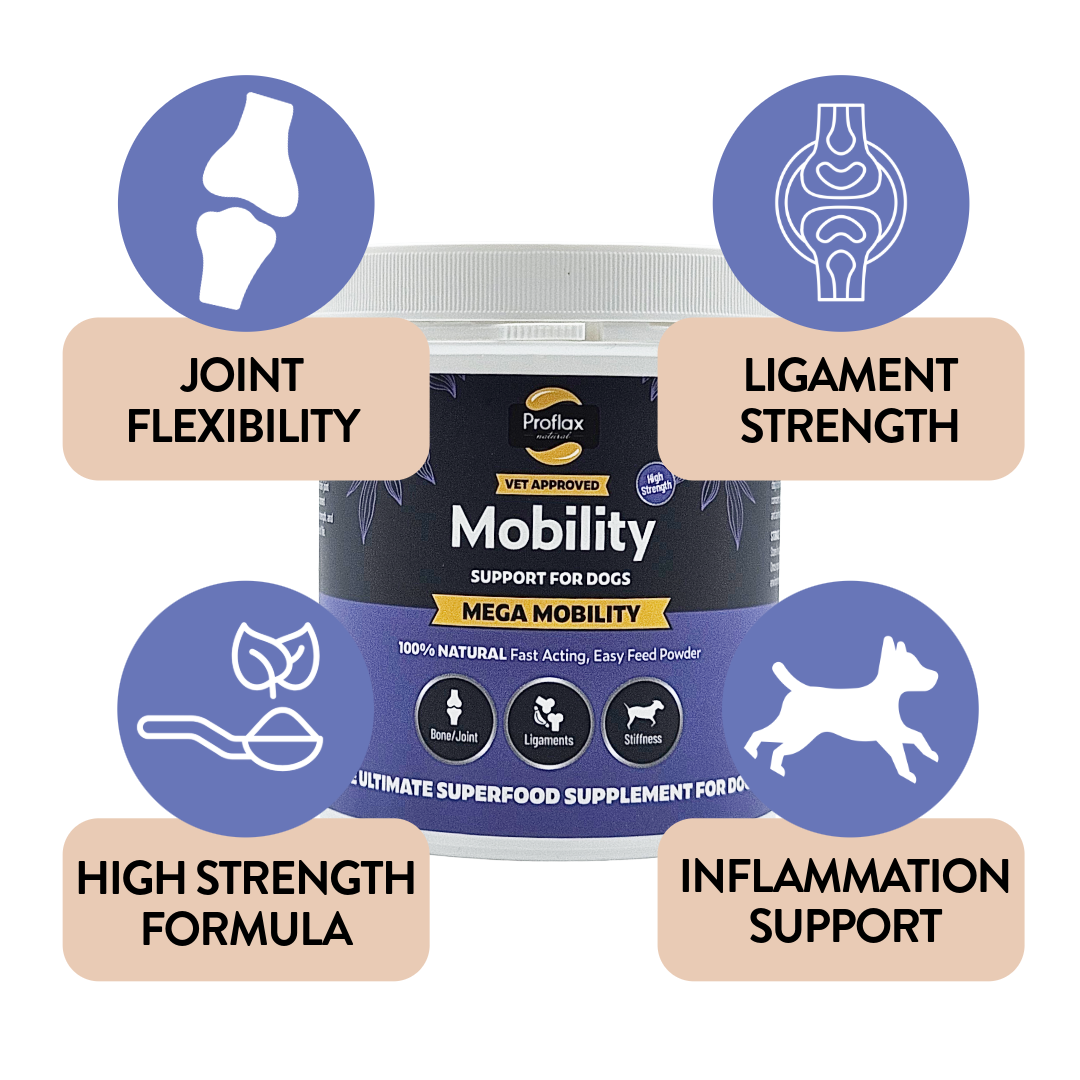 Proflax Mega Mobility pulver hundetilskudd 125 g ledd