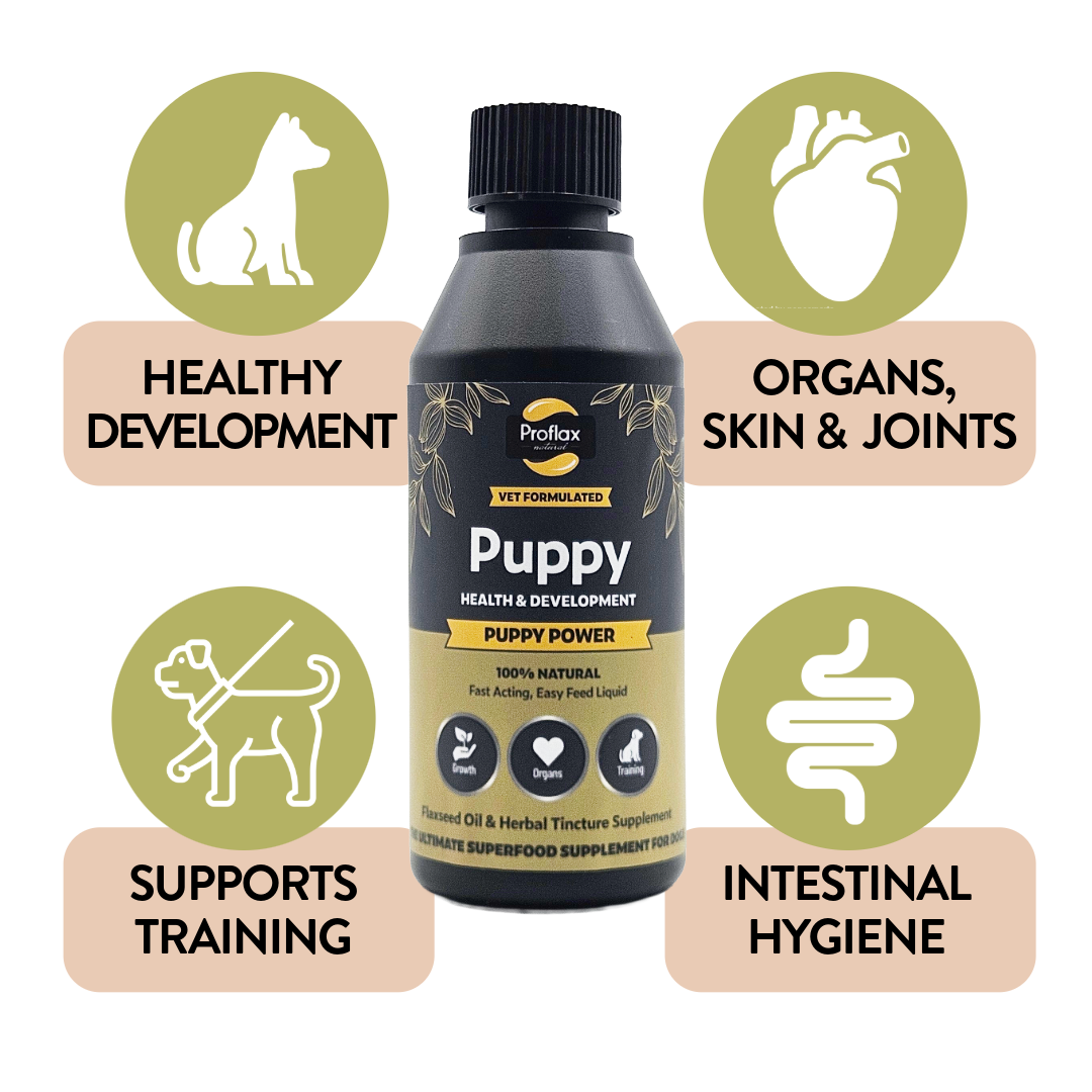Proflax Puppy Power olje valpetilskudd 100 ml fordøyelse