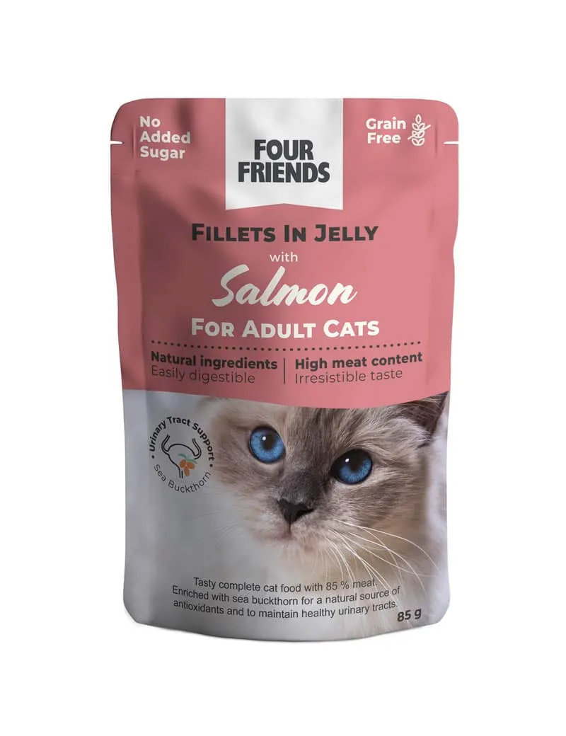 Four Friends Adult fileter laks i gelé kattemat laks