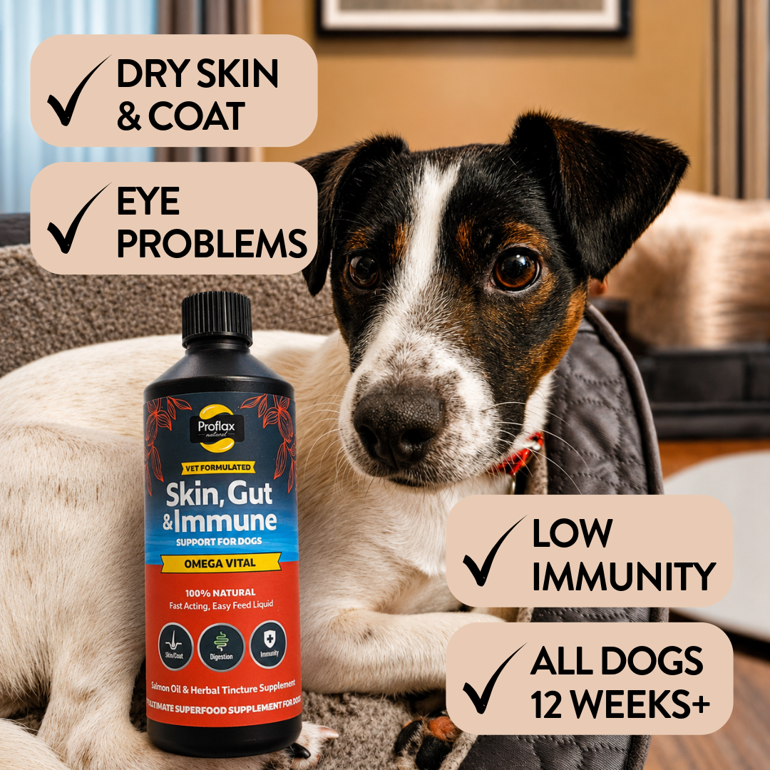 Proflax Omega Vital lakseolje til hund for hud og mage