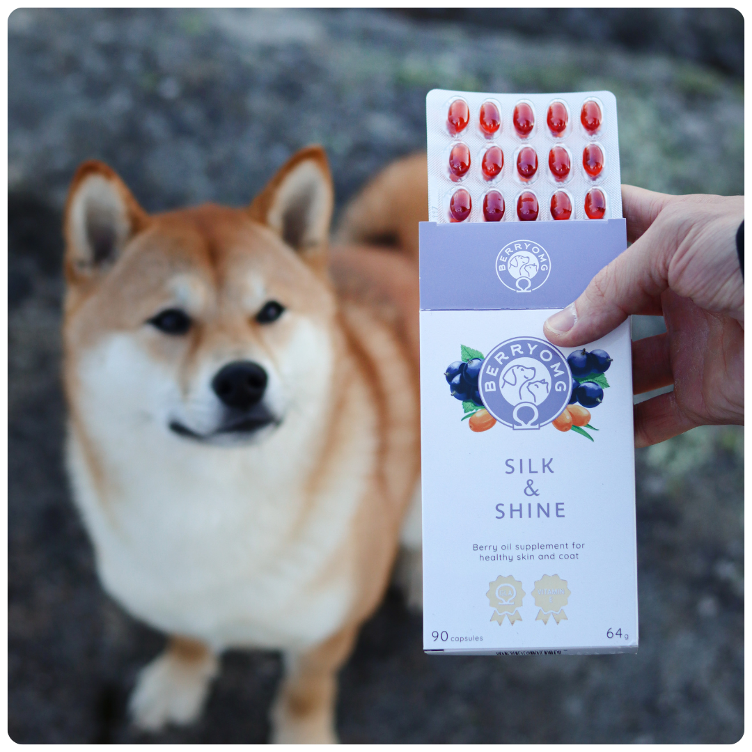 BERRYOMG Silk & Shine kapsler hund katt 90 stk blank pels