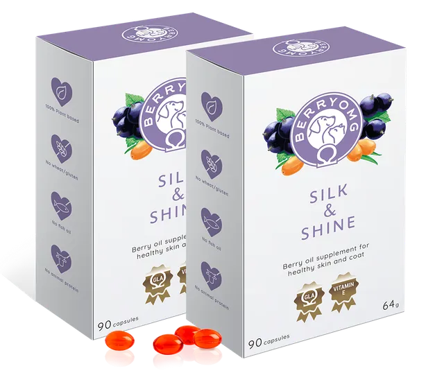 BERRYOMG Silk Shine hud- og pelstilskudd kapsler 2x90 GLA