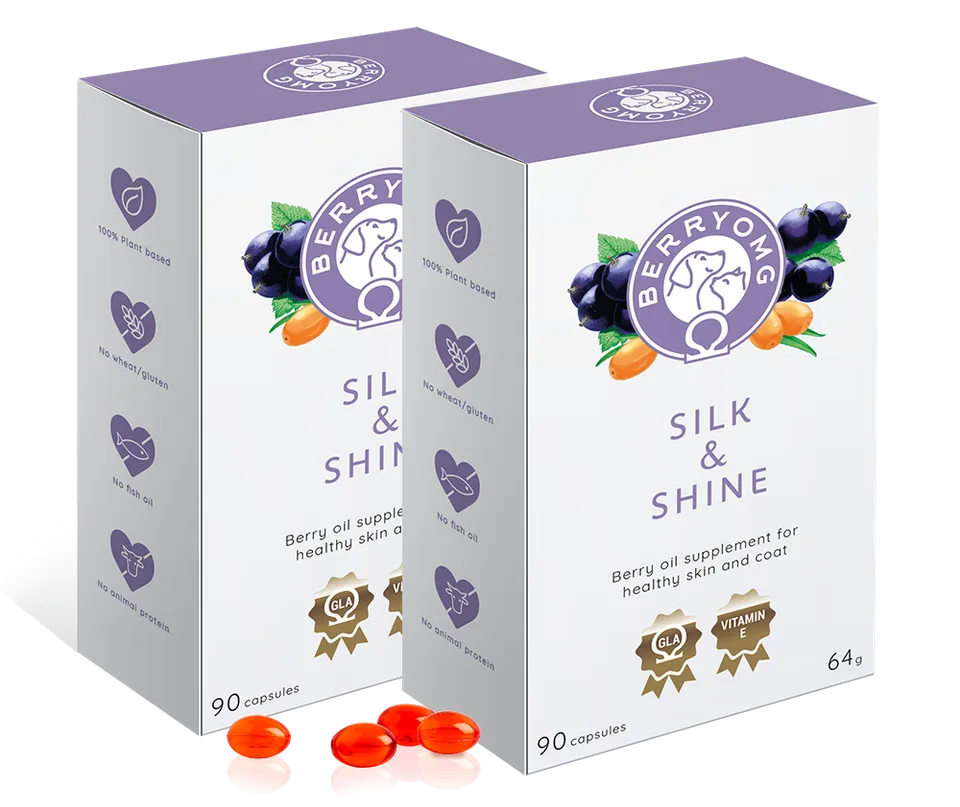 BERRYOMG Silk Shine hud- og pelstilskudd kapsler 2x90 GLA