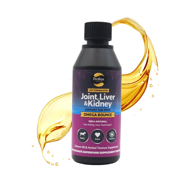 Proflax Omega Bounce lakseolje hund 100 ml ledd