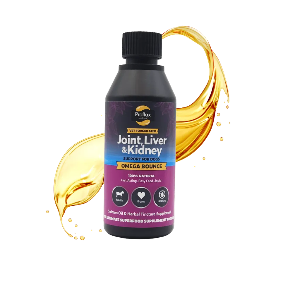 Proflax Omega Bounce lakseolje hund 100 ml ledd