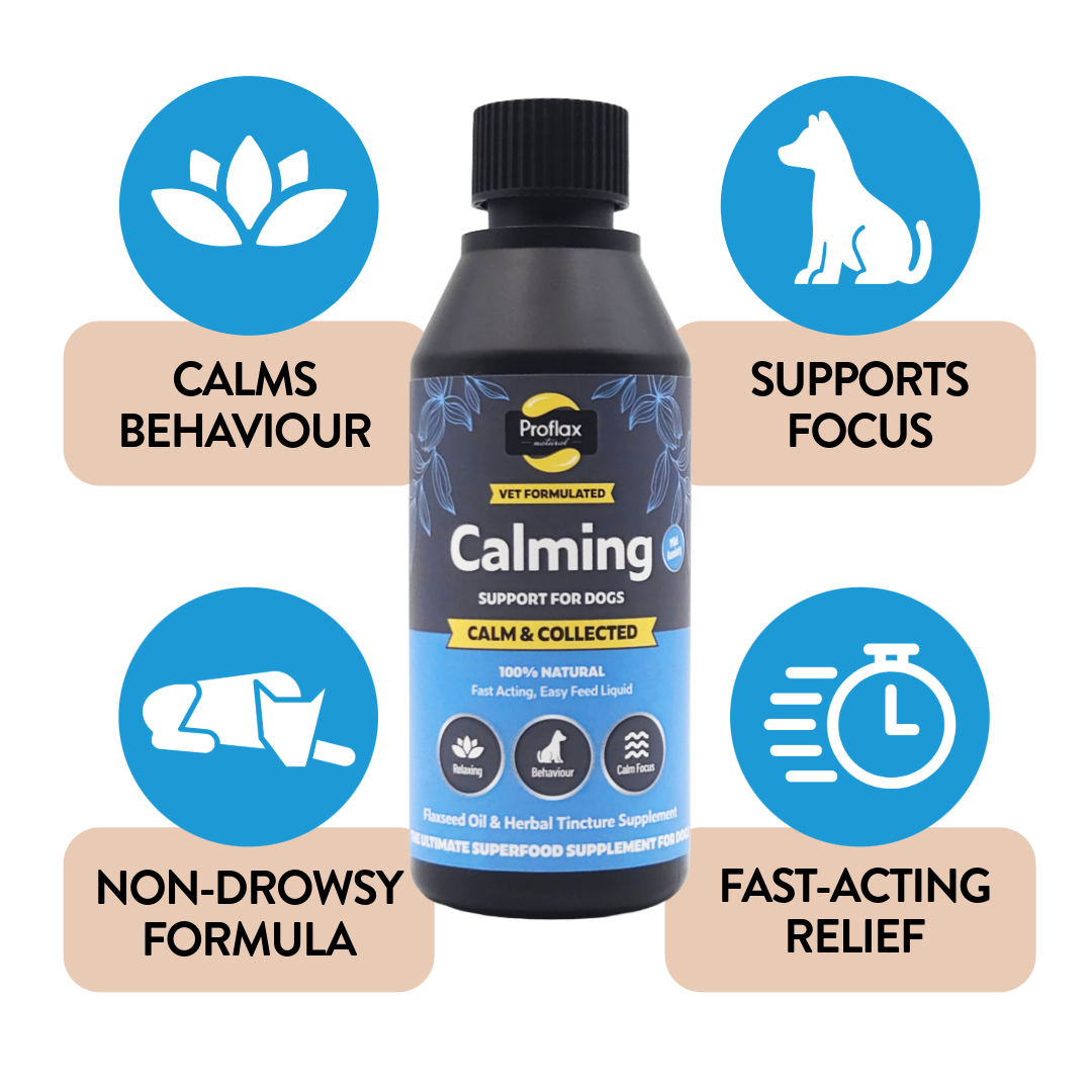 Proflax Calm & Collected olje hund 250 ml rolig