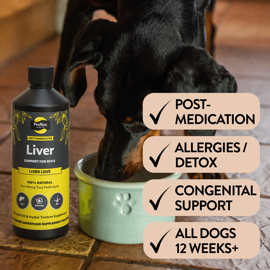 Proflax Liver Love olje 100 ml leverstøtte
