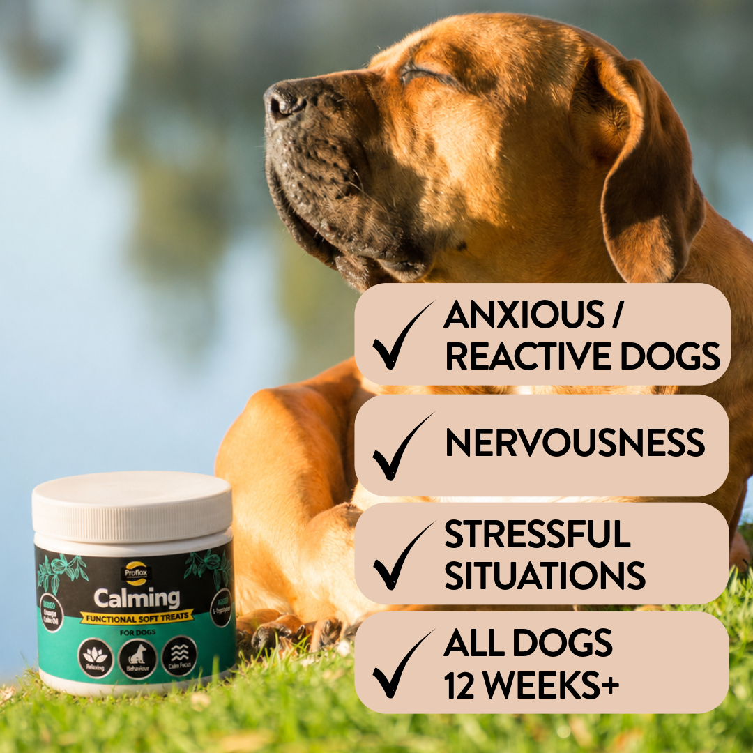 Proflax Calming tyggebiter hund 120 g ro