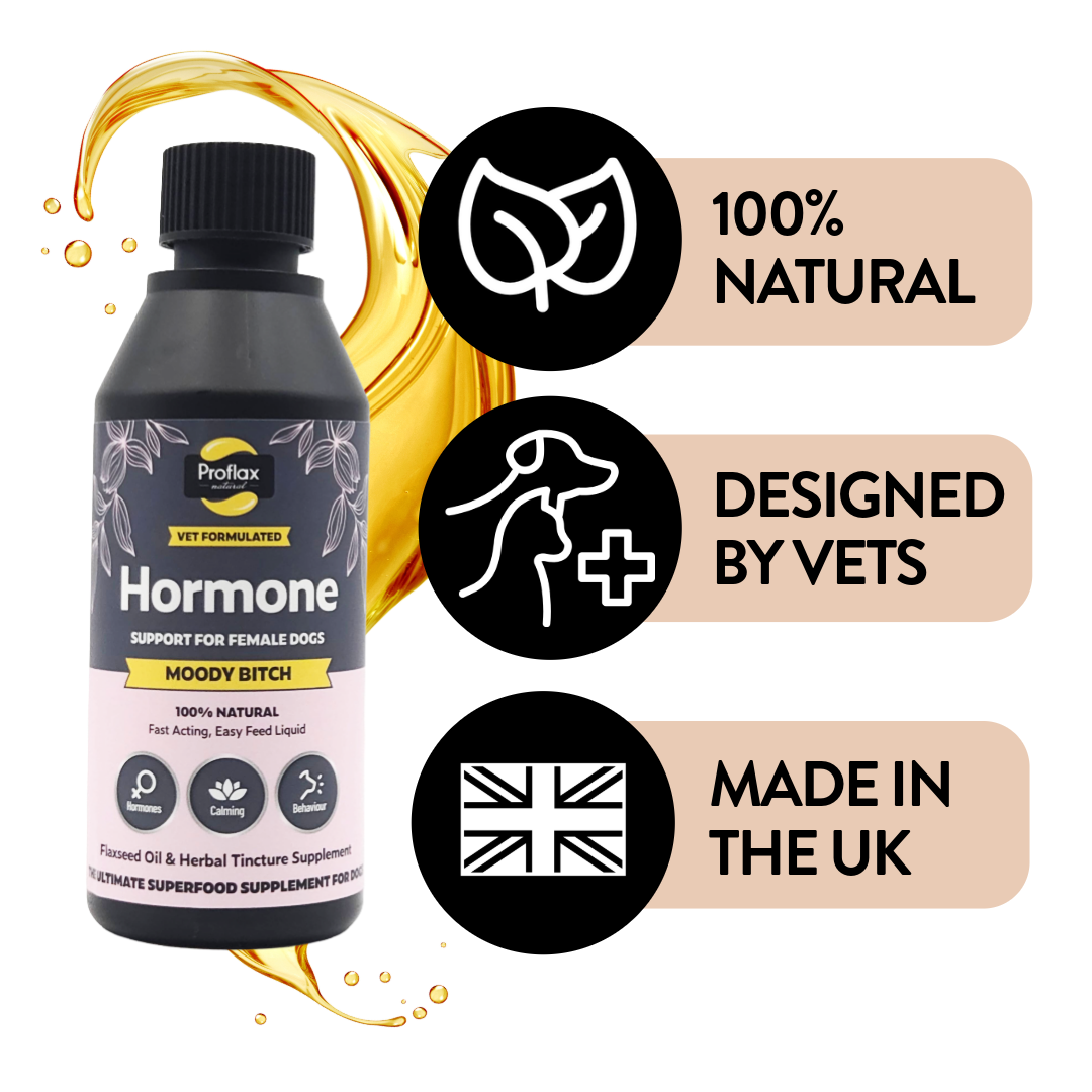 Proflax Moody Bitch olje tispe 100 ml hormonbalanse