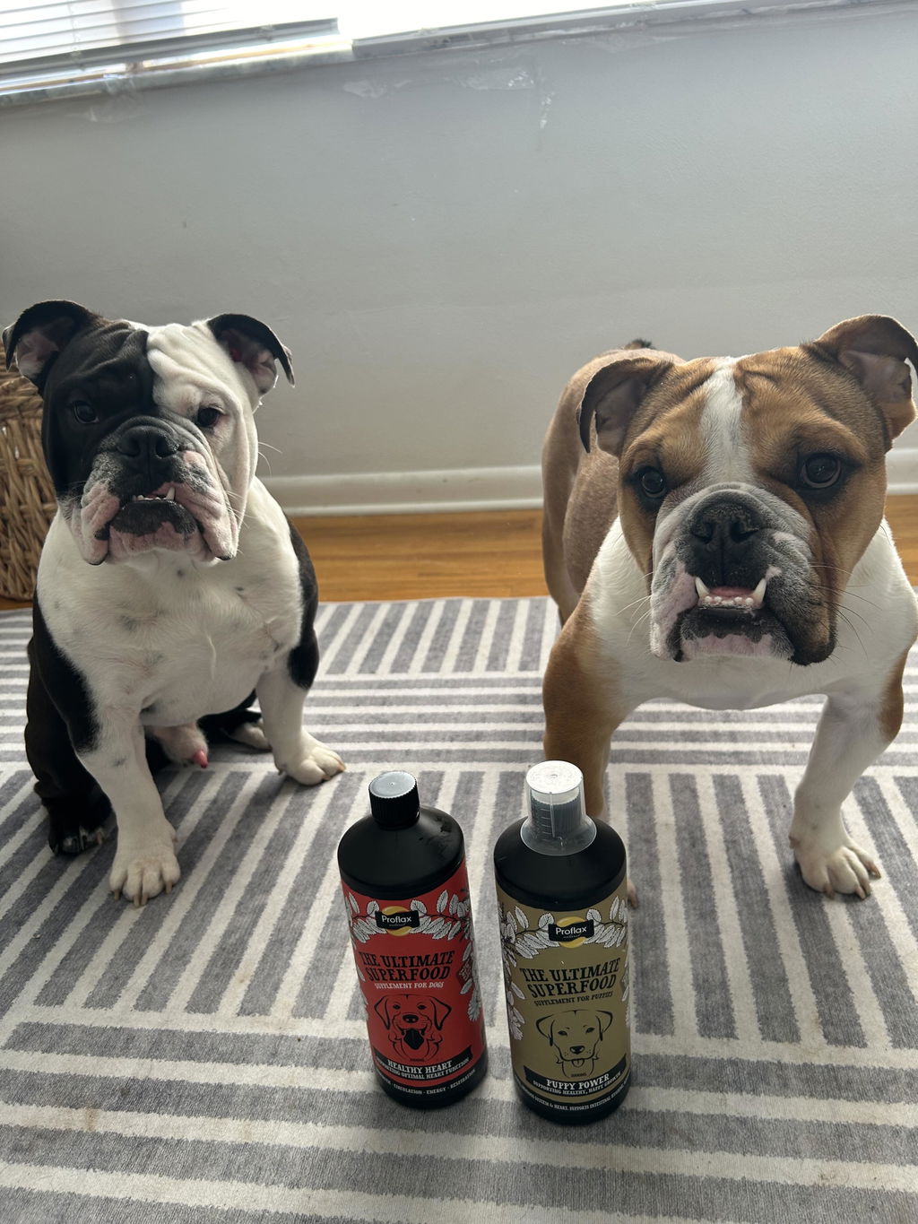 Proflax Healthy Heart olje hundetilskudd 100 ml hjerte