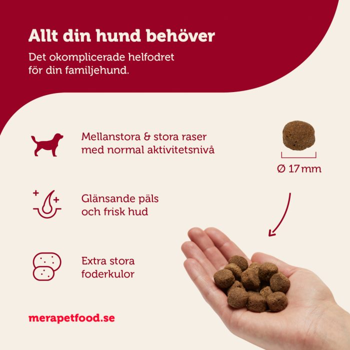 mera essential Brocken hundemat 2x12,5 kg normalaktiv