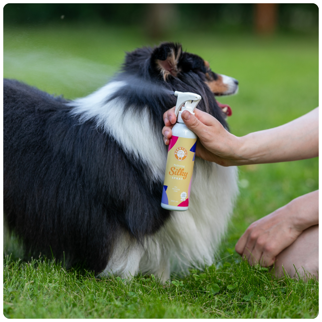 BERRYOMG Perfecting Silky pels spray hund flokefri pels