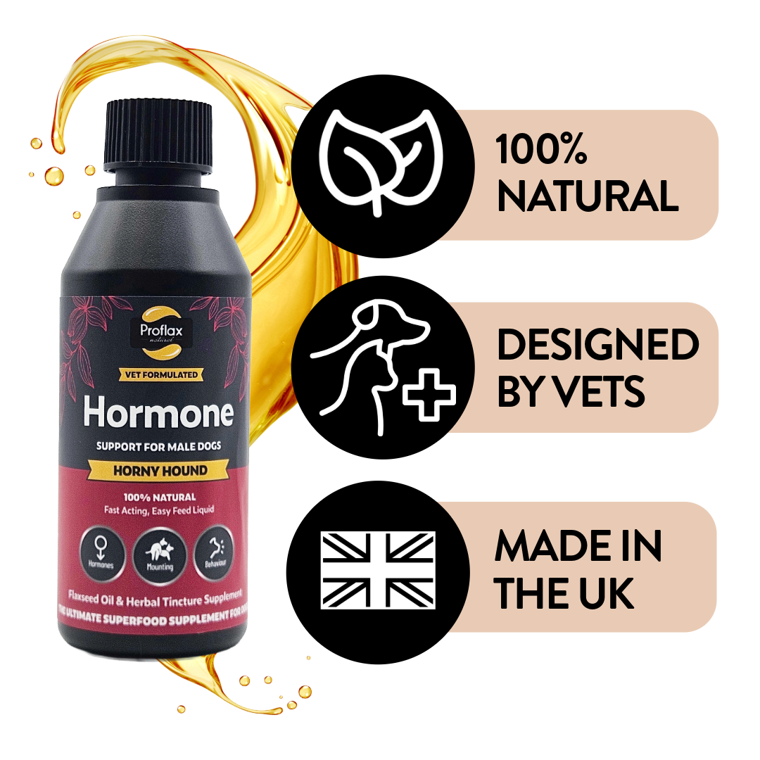 Proflax Horny Hound olje til hannhund 100 ml rolig atferd