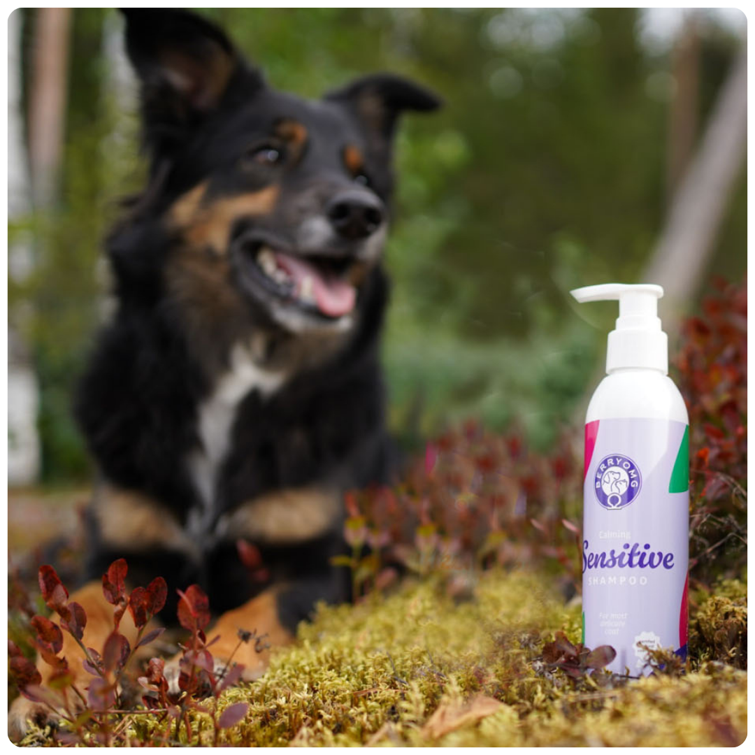 BerryOMG Calming Sensitive sjampo til hund parfymefri