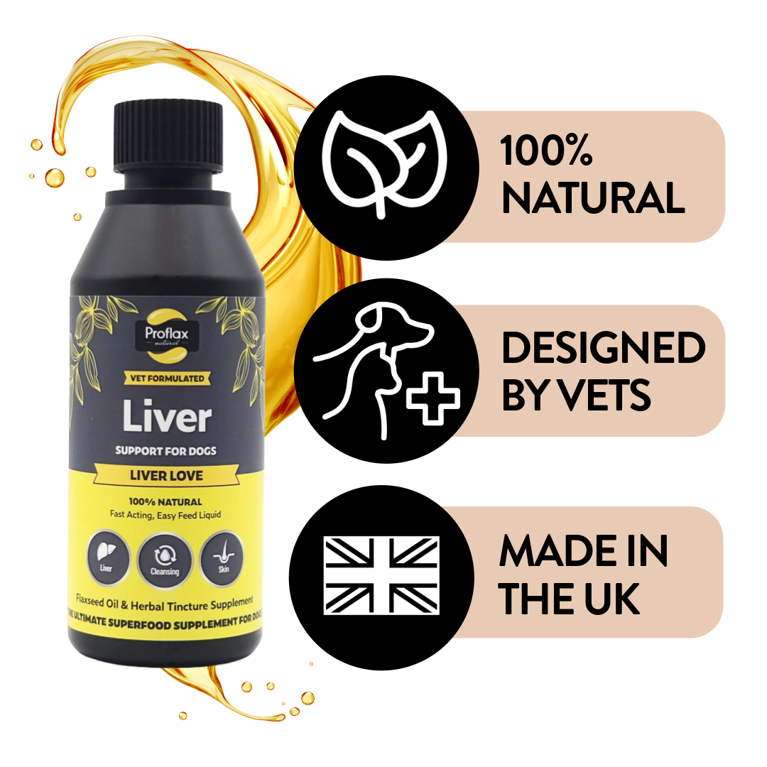 Proflax Liver Love olje 100 ml leverstøtte