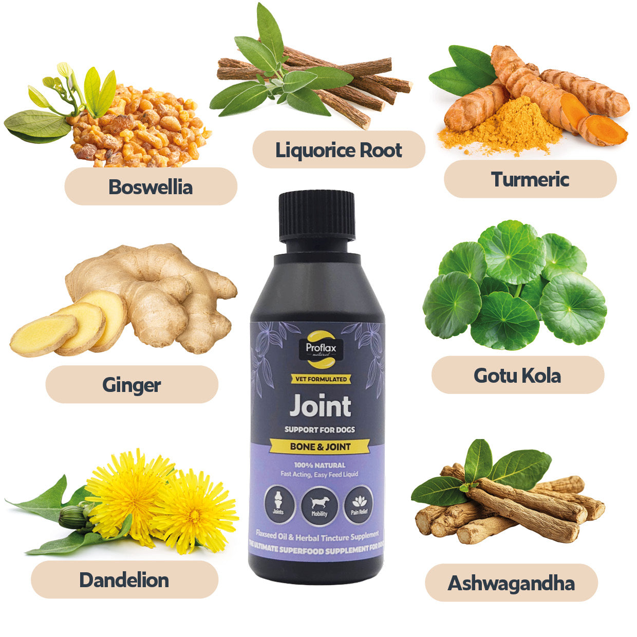 Proflax Bone & Joint olje hund 250 ml ledd