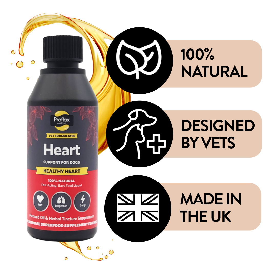 Proflax Healthy Heart olje hundetilskudd 100 ml hjerte