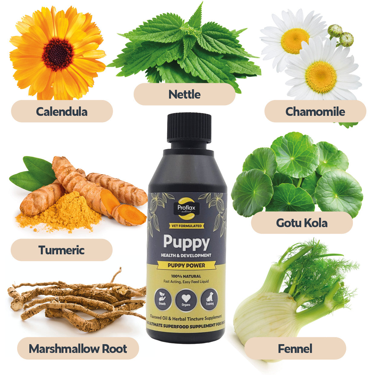 Proflax Puppy Power olje valpetilskudd 100 ml fordøyelse