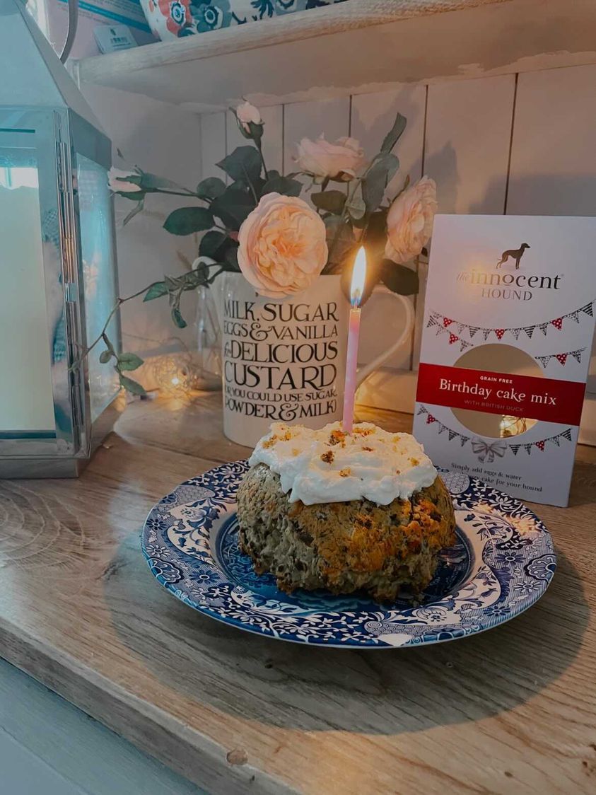 The Innocent Hound Birthday Cake Mix hundekake kornfri