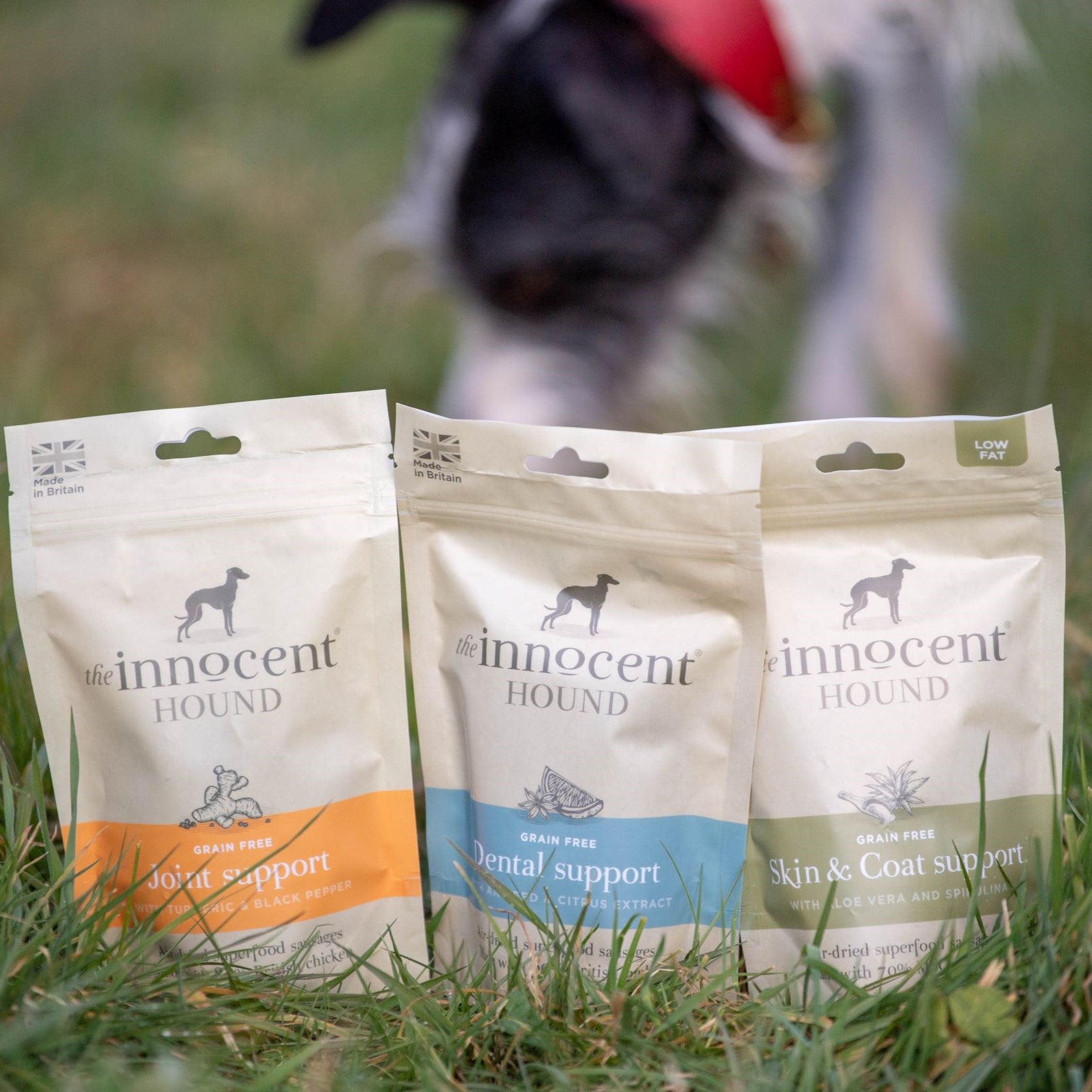The Innocent Hound Dental Support hundegodbiter lam anis 500 g