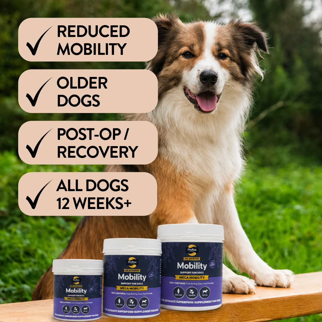 Proflax Mega Mobility pulver hundetilskudd 125 g ledd