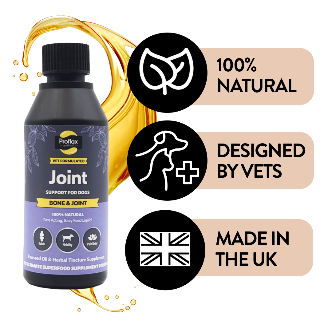 Proflax Bone & Joint olje hund 250 ml ledd