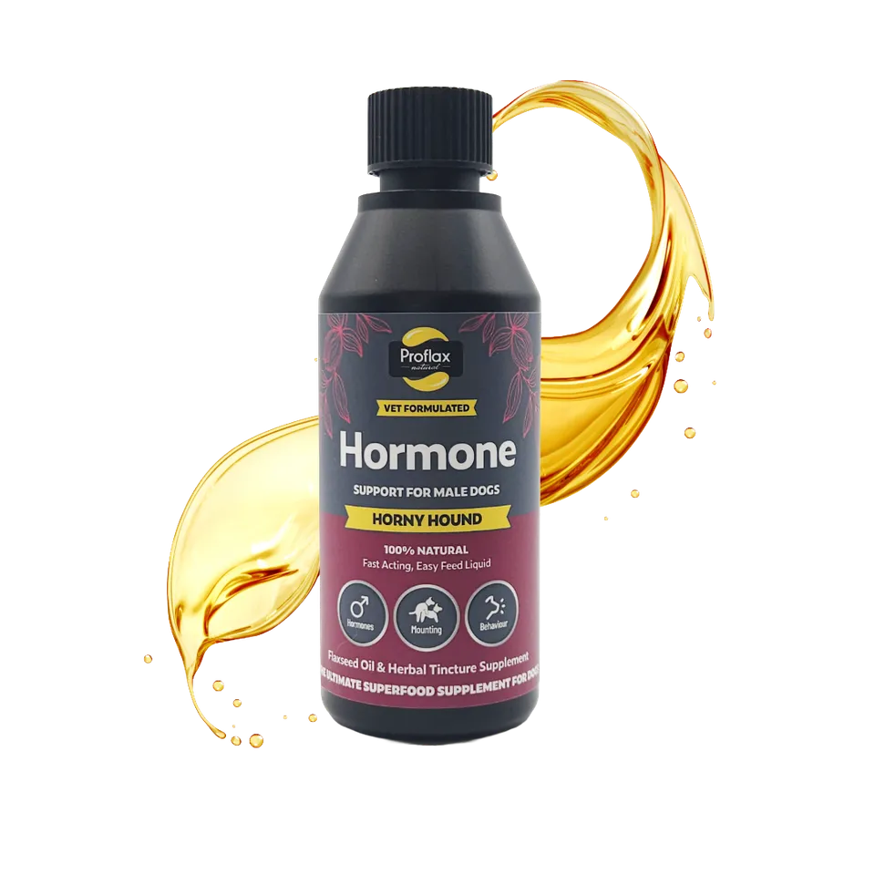 Proflax Horny Hound olje til hannhund 100 ml rolig atferd