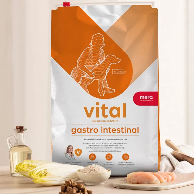 Mera vital Gastro tørrfôr hund 3 kg mage