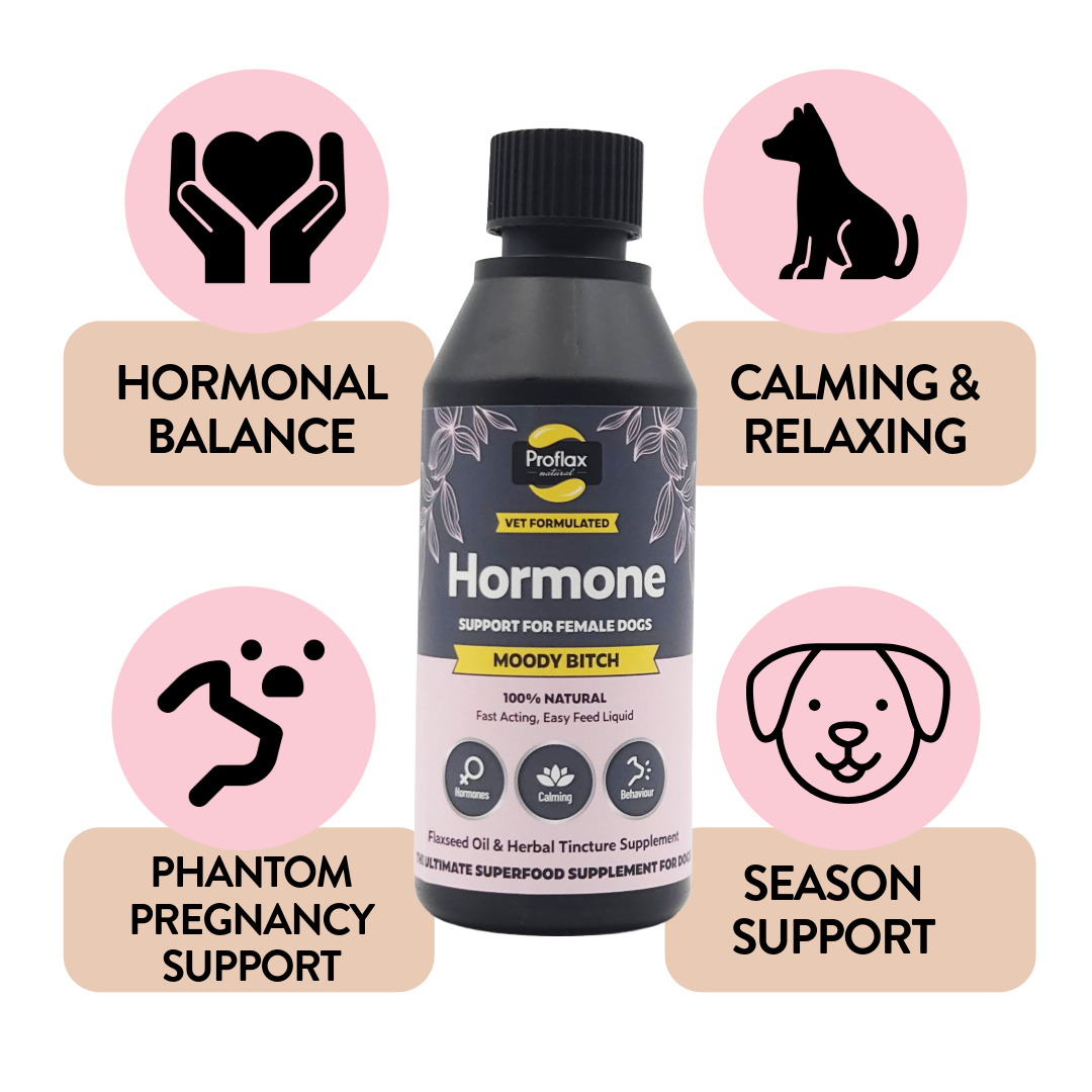 Proflax Moody Bitch olje tispe 100 ml hormonbalanse
