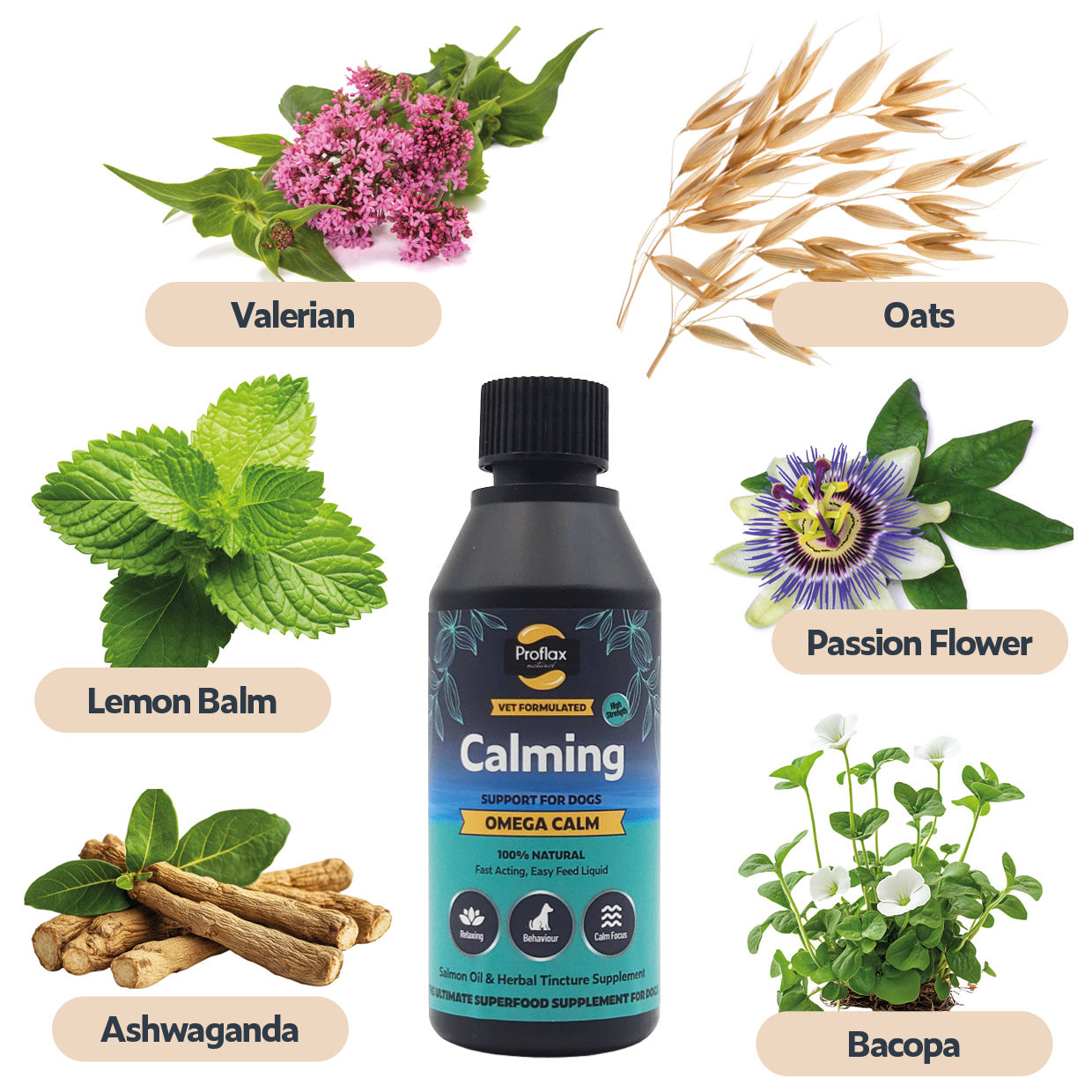 Proflax Omega Calm olje 100 ml beroligende