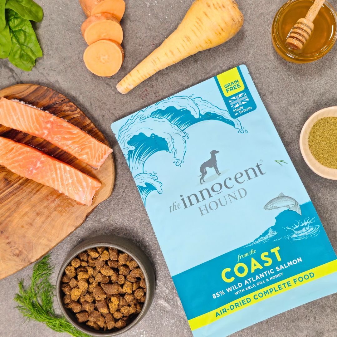 The Innocent Hound Coast hundefôr 1kg laks omega