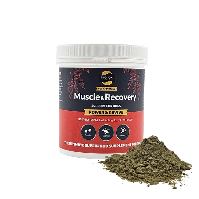 Proflax Power Revive muskelpulver til hund 100 g restitusjon