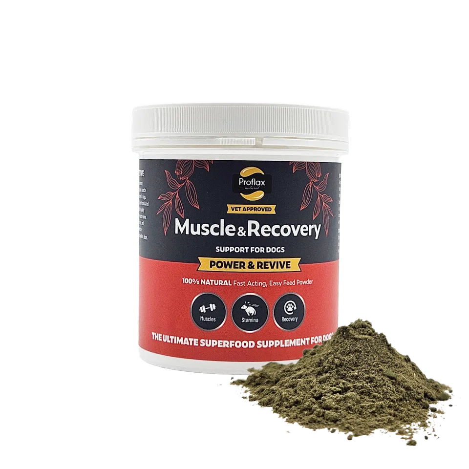 Proflax Power Revive muskelpulver til hund 100 g restitusjon