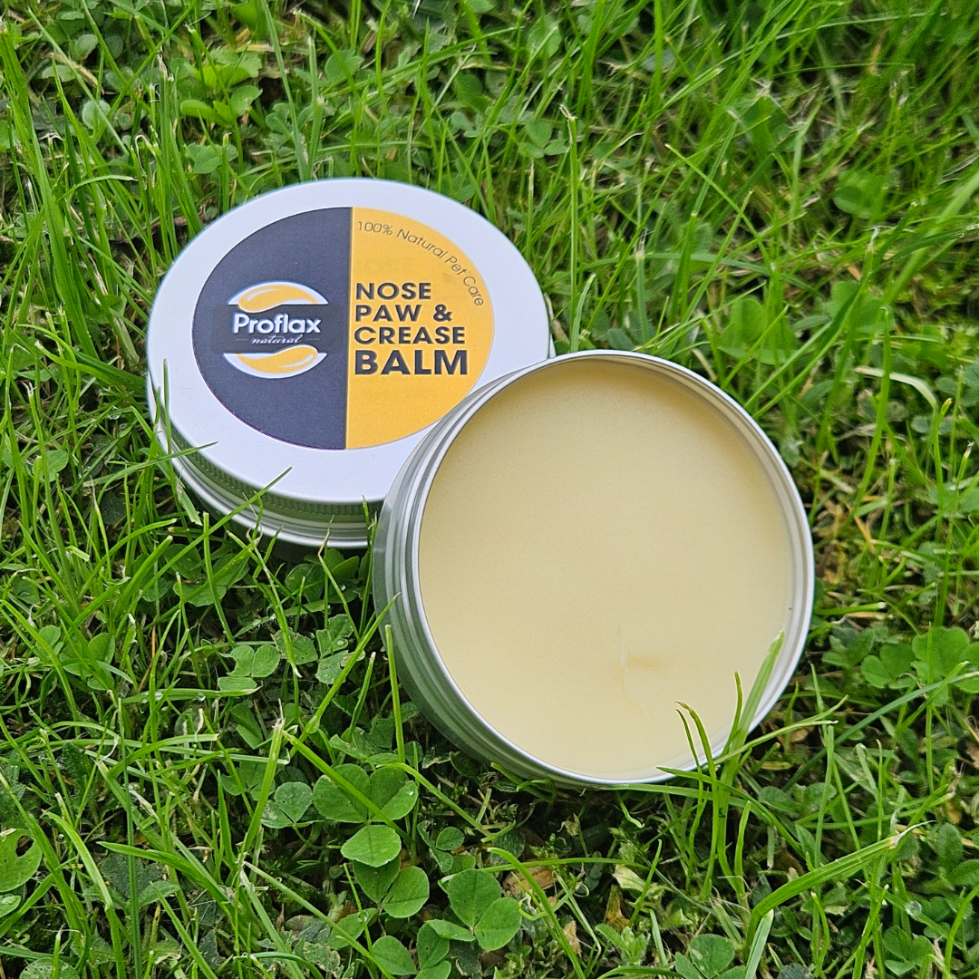 Proflax Natural Dog Balm nese- og potebalsam 37g kokos