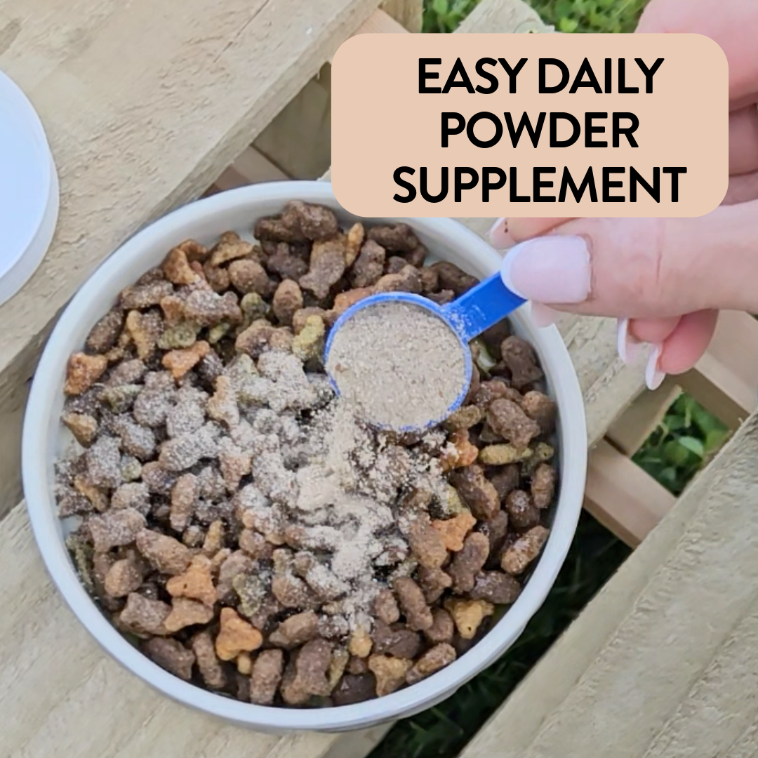 Proflax Tummy Tastic pulver hund 125 g rolig mage